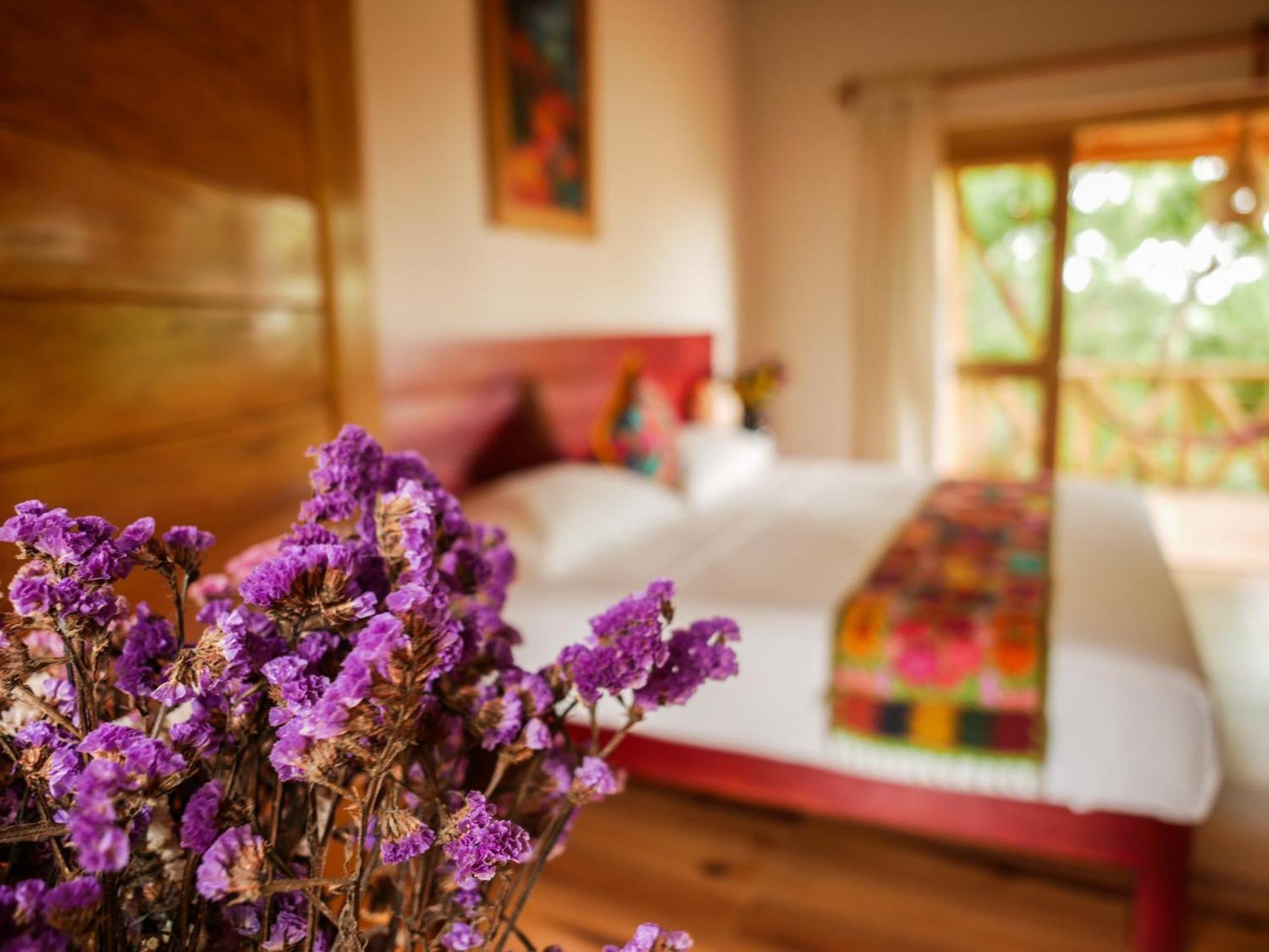 Carpe Diem Casitas & Villas مازونتي الغرفة الصورة
