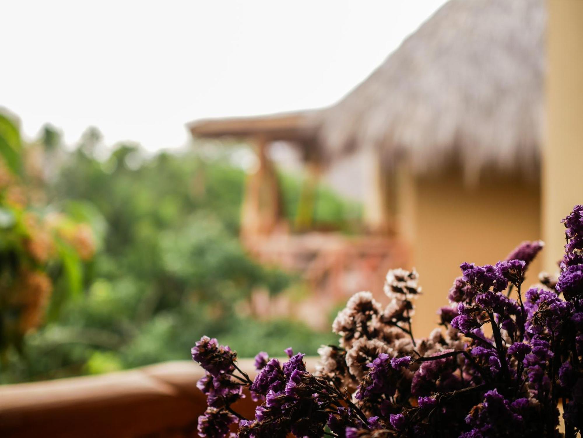 Carpe Diem Casitas & Villas مازونتي الغرفة الصورة